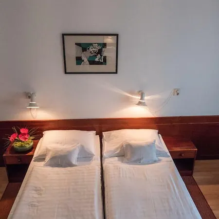 Medical Center Hotel Heviz